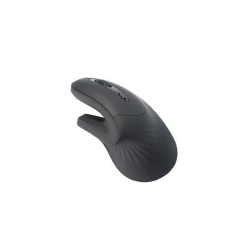Souris ergonomique WE, 2-en-1 connexion BT + 2.4GHz, 5 boutons et 1 molette DPI 800-1200-1600 noire, 1 pile AA inclus