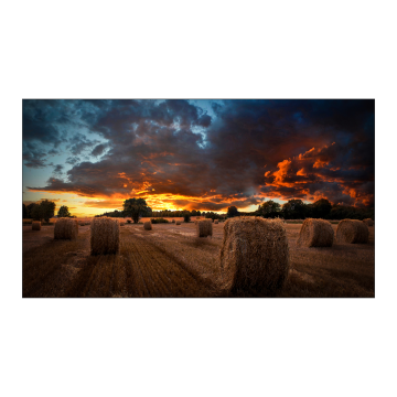 ECRAN SAMSUNG 55'' LFD 16:9 24h/7j FHD (1920x1080) 500cd/m² Tizen 4.0 DVI DisplayPort 2xHDMI Bords à Bords 3.5 mm VM55B-U / LH55VMBUBGBXEN